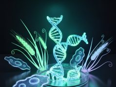 Biotechnologia w hodowli zwierząt: rewolucja w produkcji żywności